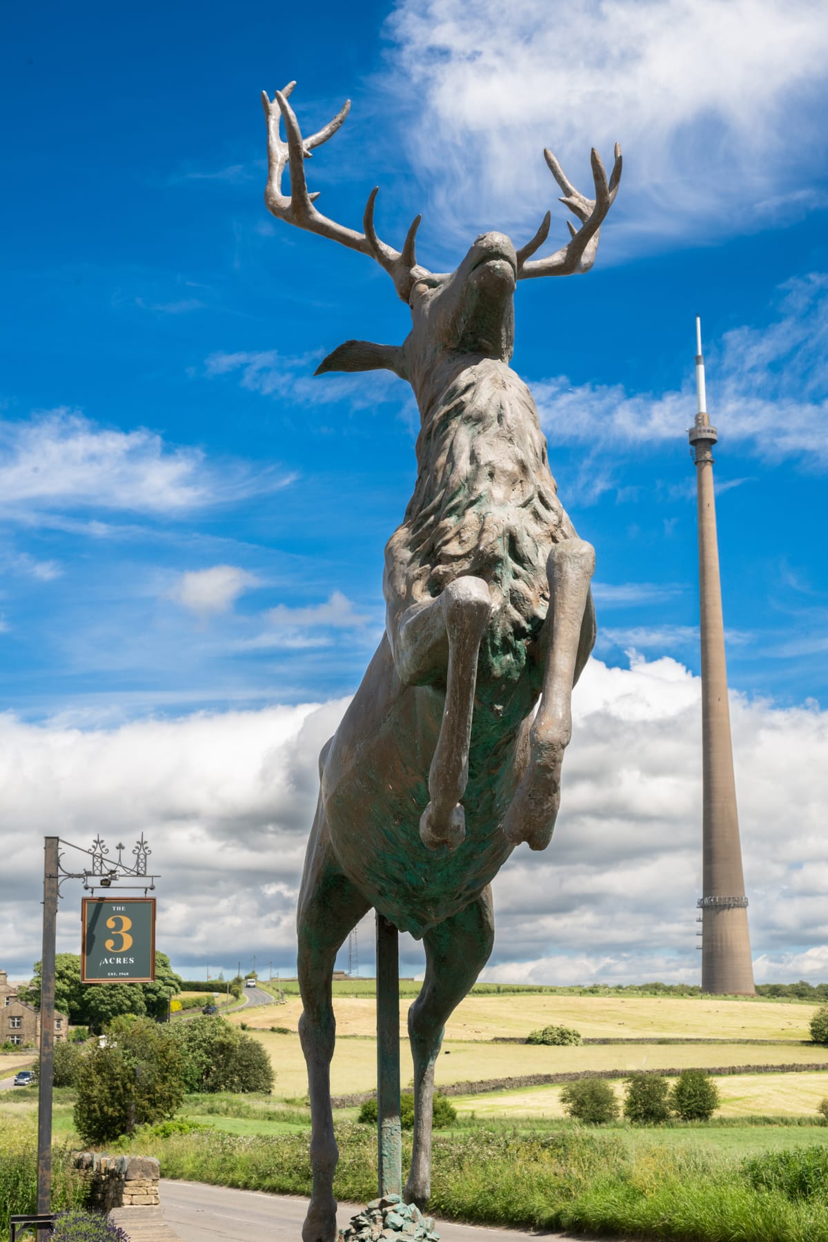 3 Acres Stag 3 Acres Stag