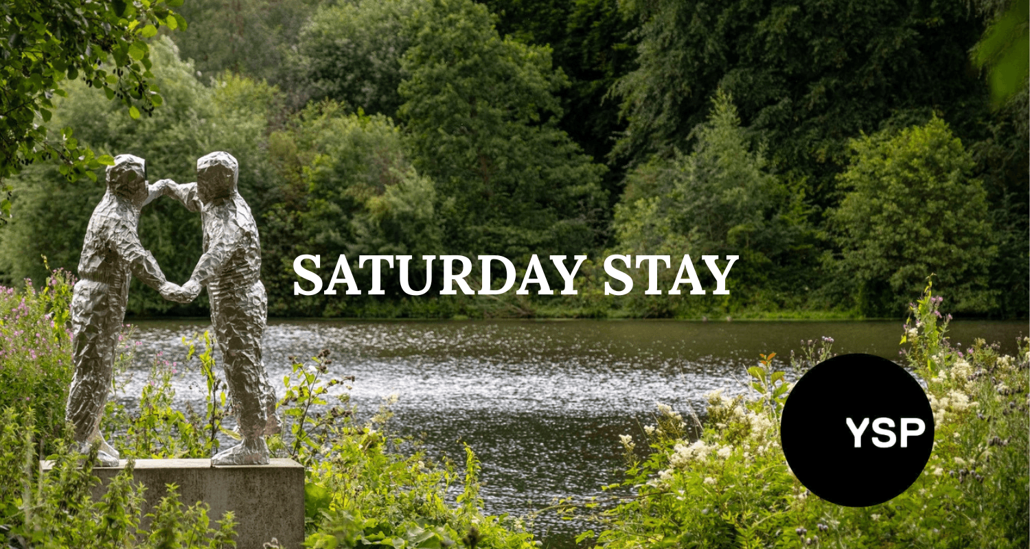 Ysp Saturday Stay